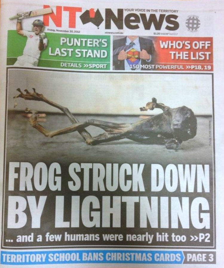 NT_News_frog_lightning.jpg