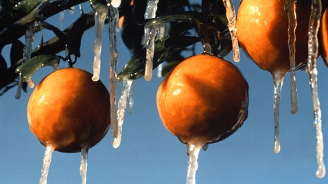 gty_frozen_oranges_thg_120103_wblog.jpg