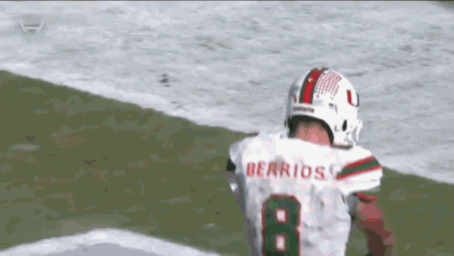 miami-hurricanes.gif