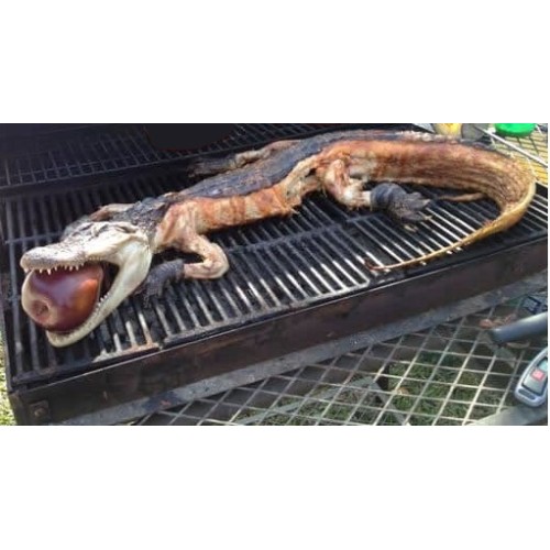 grill-gator-500x500.jpg