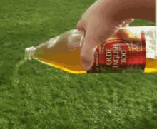 Pour Out Liquor GIFs | Tenor