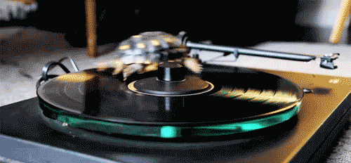 turtle-record-spin.gif