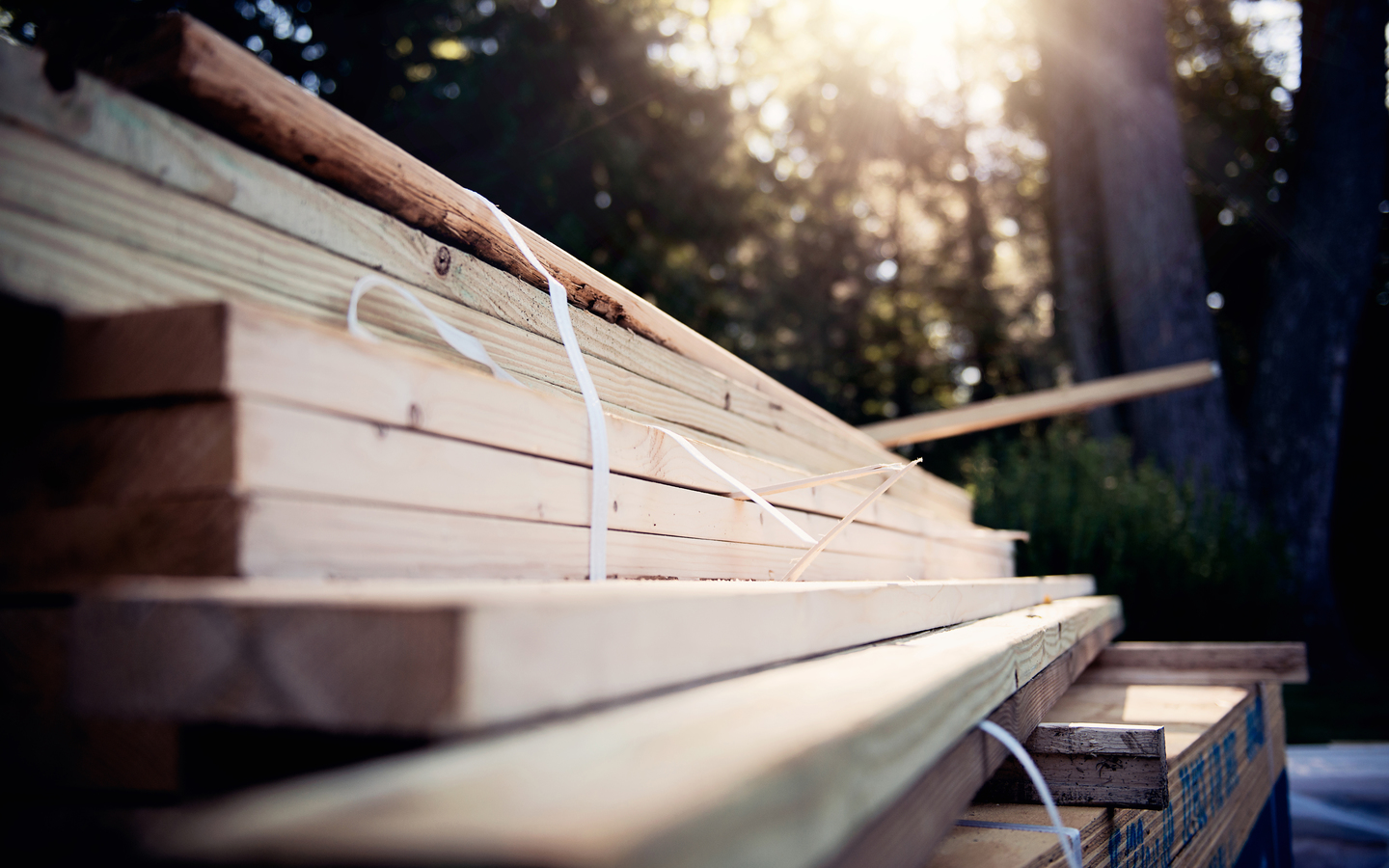 lashlee-rich-inc.business.site