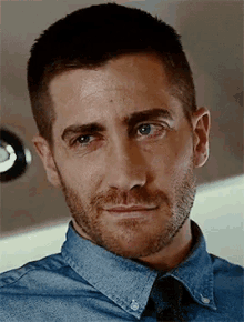 jake-gyllenhaal-smh.gif