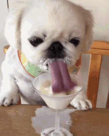 dog-smoothie.gif