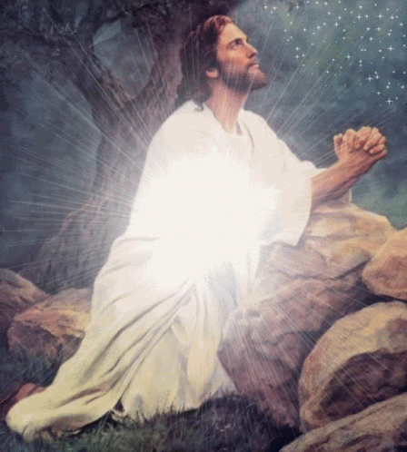 Jesus Praying GIF - Jesus Praying Garden GIFs