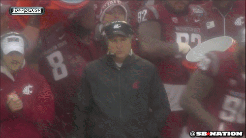 Image result for Mike Leach gif