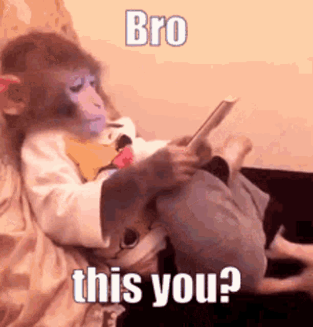 funny-monkey-bro-this-you-meme-0wxa4s3gzzjd4pft.gif