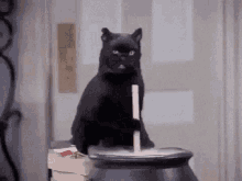 Stir The Pot GIFs | Tenor