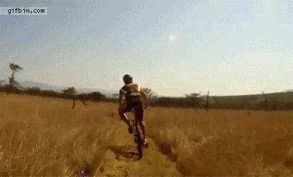 1318274996_buck_owns_mountain_biker.gif