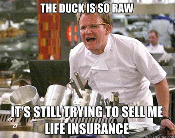 chef-gordon-ramsay-meme-duck.png