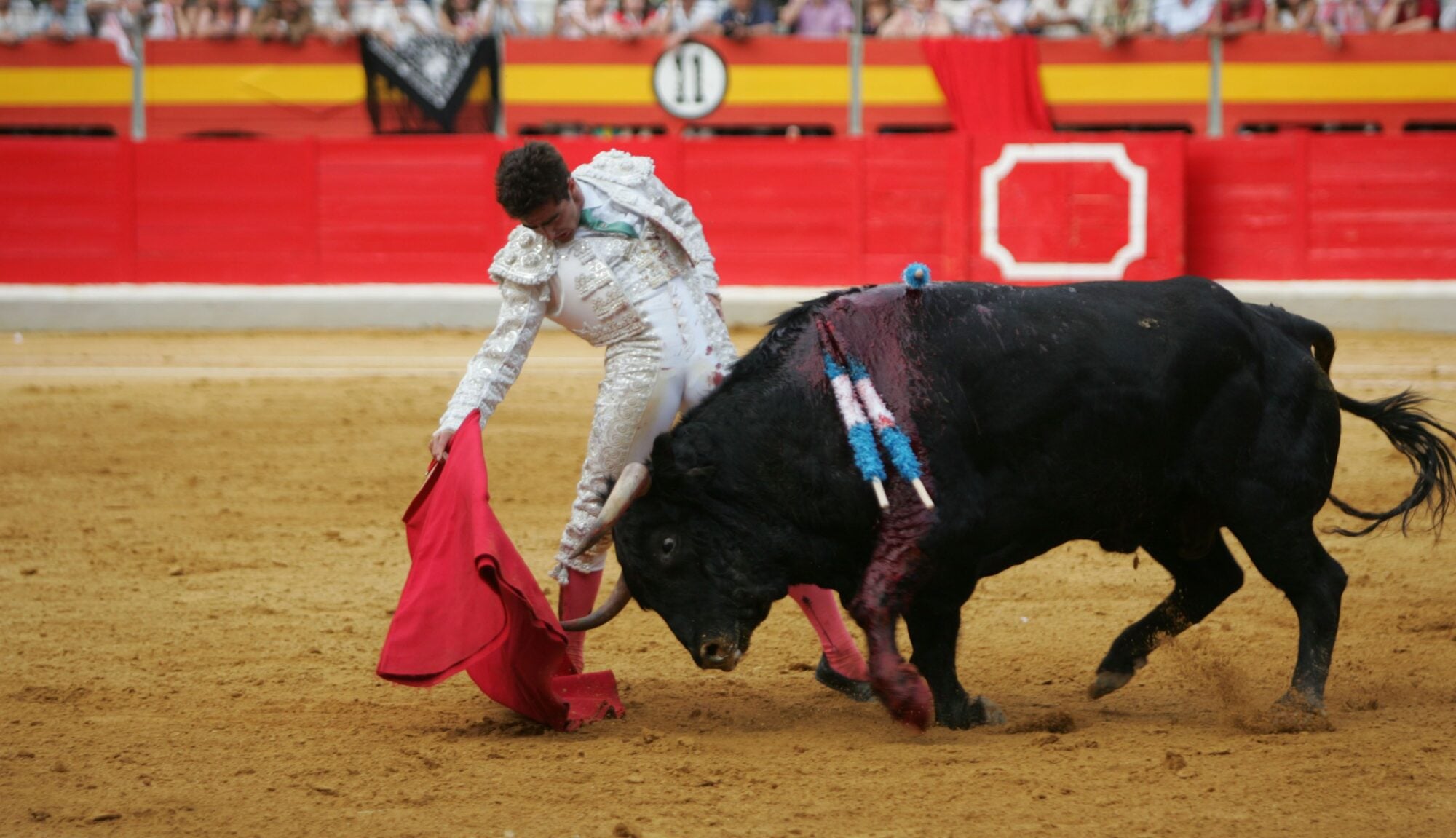matador2008.jpg