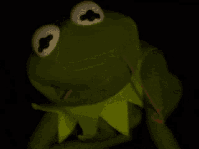 c4i56guurpve1.gif
