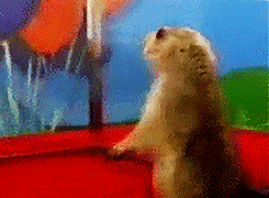 tumblr_mqm48r7igp1qcxje5o1_250.gifv