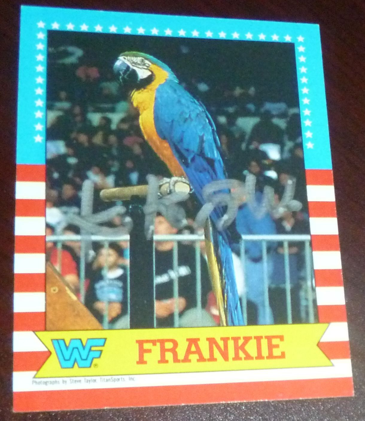 WWF-Koko-B.-Ware-Frankie-card.jpg