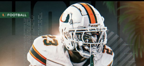 www.canesinsight.com
