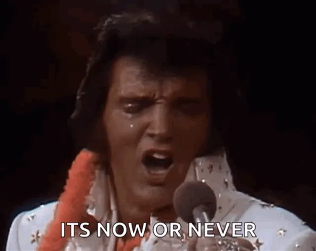 energetic-elvis-its-now-or-never-003mwdz0pt8czdrp.webp