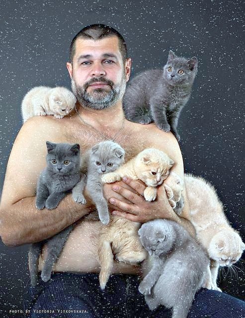 man-with-kittens.jpg