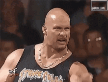 stone-cold-steve-austin-stone-cold.gif