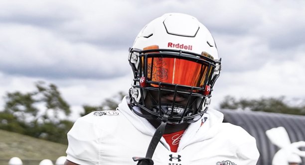www.canesinsight.com