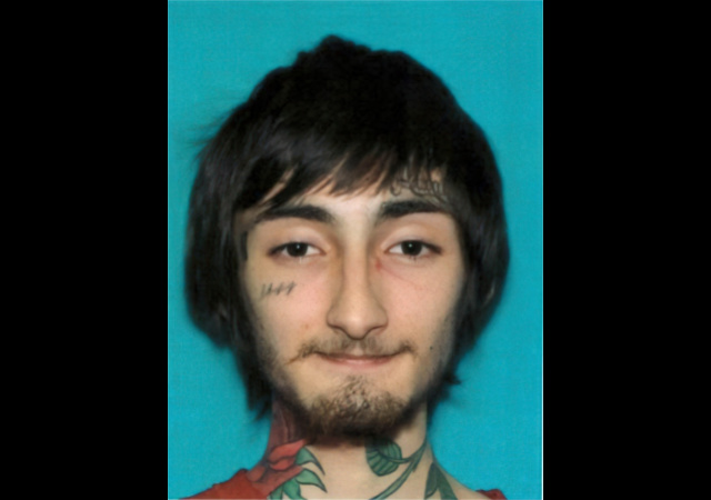 legalinsurrection.com