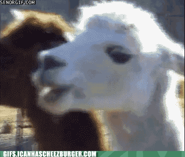 classic-gif-hurrrrrrrrrrrrrrrrrrrr