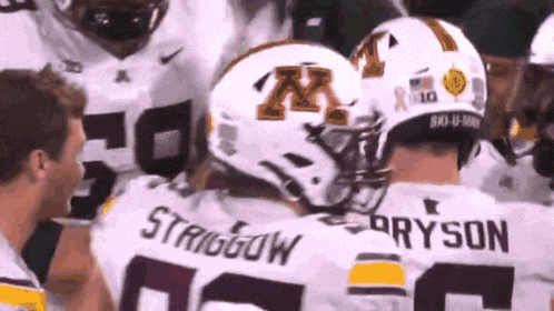 gophers-koi-perich.gif
