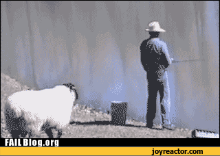 gif-fishing-fail-475631.gif