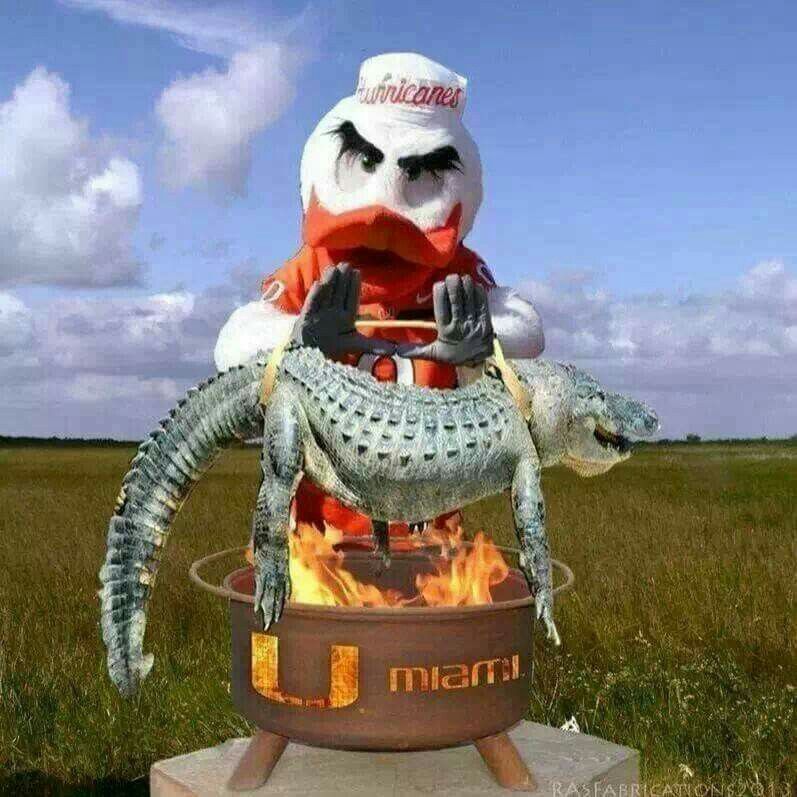 Image result for Hurricanes vs gators memes