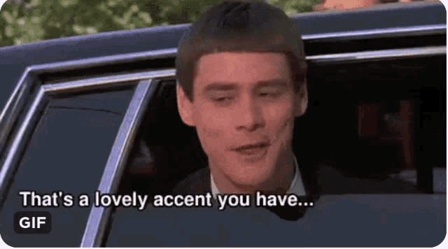 Stupid Dumb And Dumber GIF - Stupid Dumb And Dumber Idiot GIFs