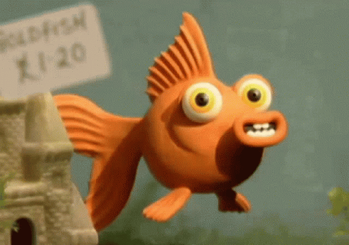 gold-fish-winking-out-j9rhfru4ey2aep7c.gif