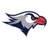 lackawannafalcons.com