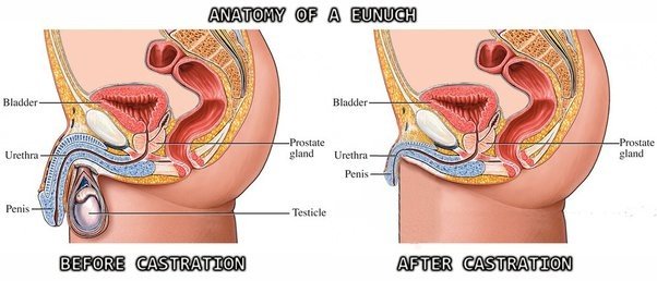 How do eunuchs urinate? - Quora