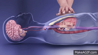 Image result for life support gif