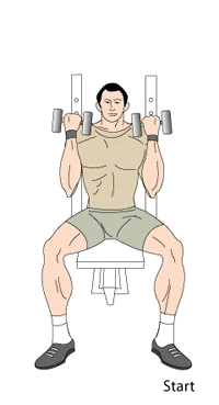 arnold-press-exercise.gif