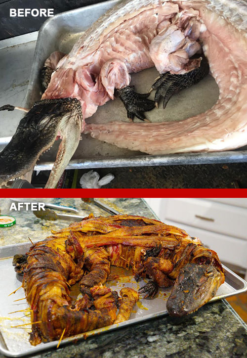 Alligator-Before-after-3.jpg