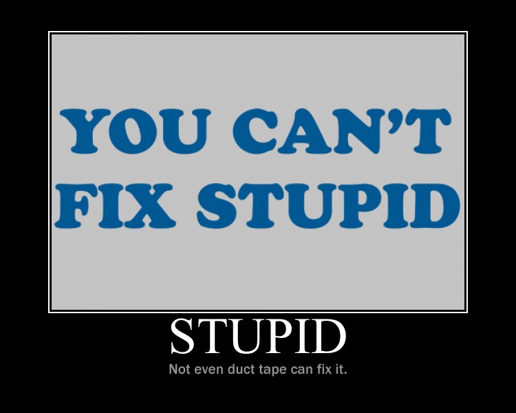 you_can__t_fix_stupid_by_seekerarmada-d5ktpen.jpg