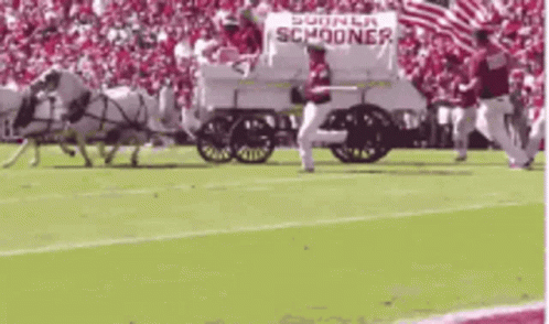 oklahoma-sooners-football.gif