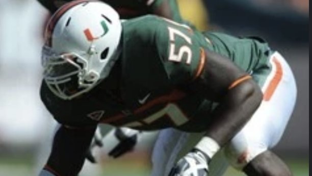www.canesinsight.com