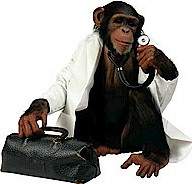 Chimp-Doctor.jpg