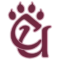 cumountainlions.com