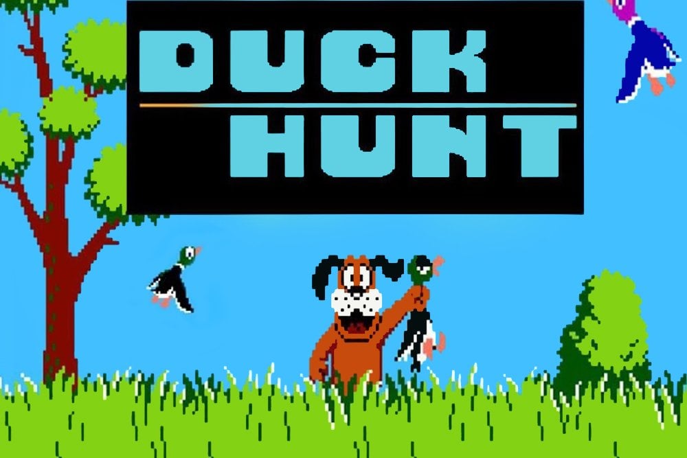 duck-hunt-game.jpg