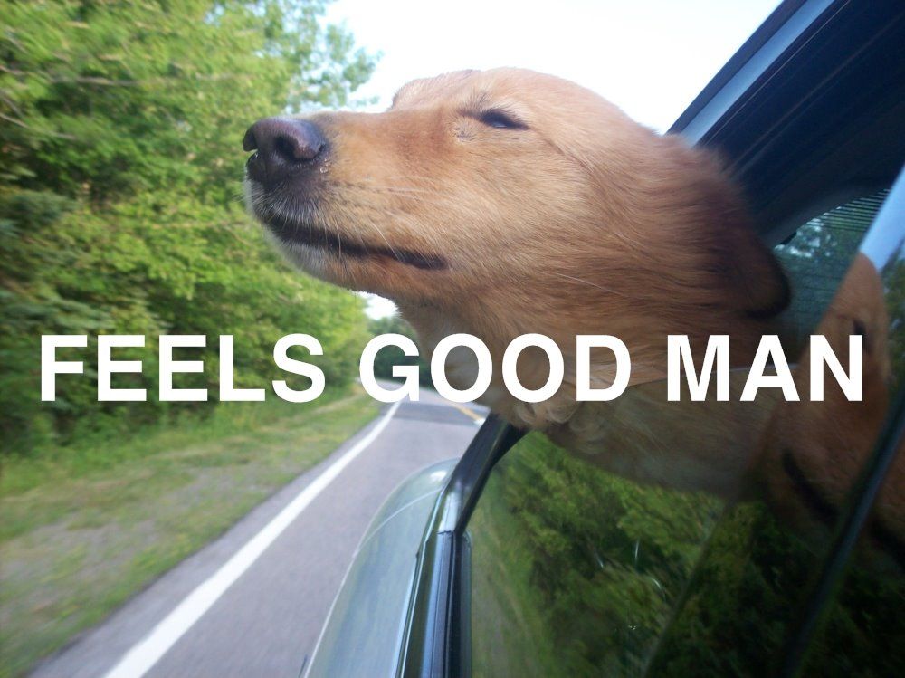 FEELS_2BGOOD_2BMAN_2BDOG_2BTEXT.jpg