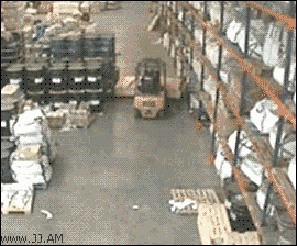 Forklift-warehouse-accident.gif