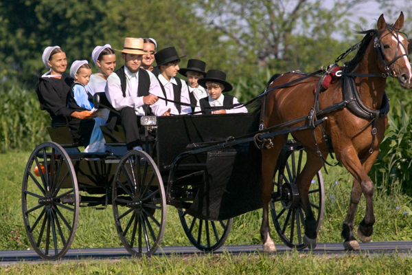 amish-family-in-buggy8.jpg