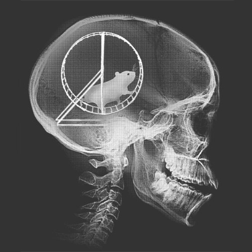 hamster-wheel-skull-x-ray-t.jpg