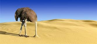 Ostrich with head in the sand Stock Photos - Page 1 : Masterfile