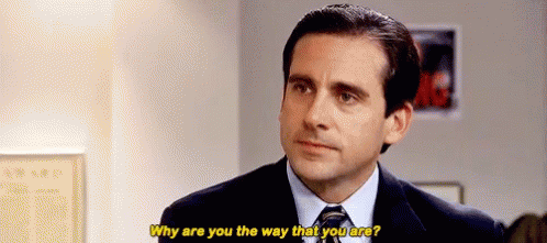 Michael Scott Why Are You The Way You Are GIF - MichaelScott ...