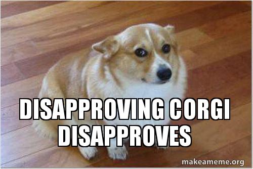 disapproving-corgi-disapproves.jpg