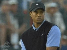 Happy Tiger Woods GIF